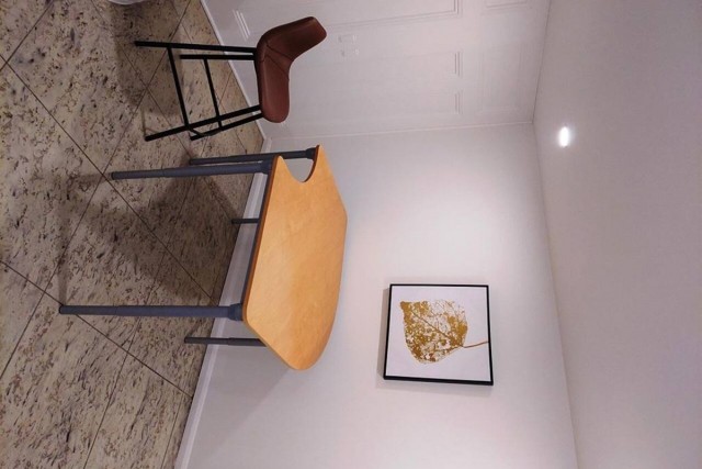  2 1/2 Rosemont, Petite-Patrie 50 $/jour. Appartement à louer Rosemont, Petite-Patrie