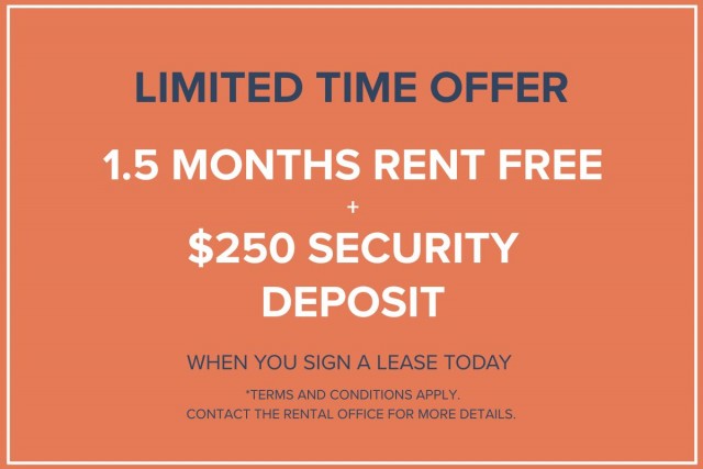 Appartement 1 1/2 Edmonton 1 095 $/mois. Appartement à louer Edmonton