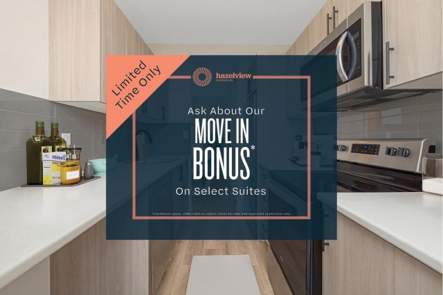 Appartement 4 1/2 Hamilton 1 815 $/mois. Appartement à louer Hamilton