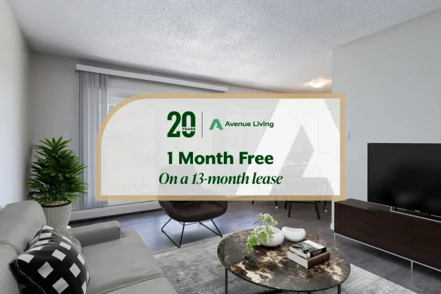 Lethbridge Apartment 1 b. $1,475/month. Apartment for rent in Lethbridge