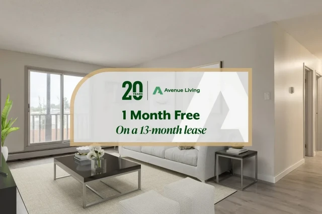 Medecine Hat Apartment 2 b. $1,420/month. Apartment for rent in Medecine Hat