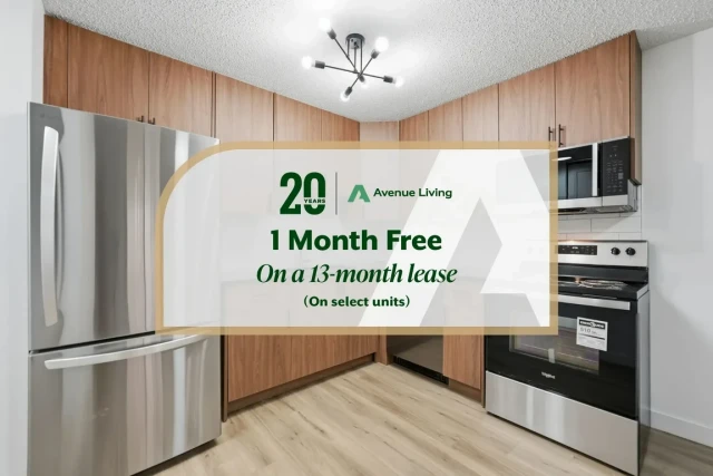 Saskatoon Apartment 1 b. $1,375/month. Apartment for rent in Saskatoon