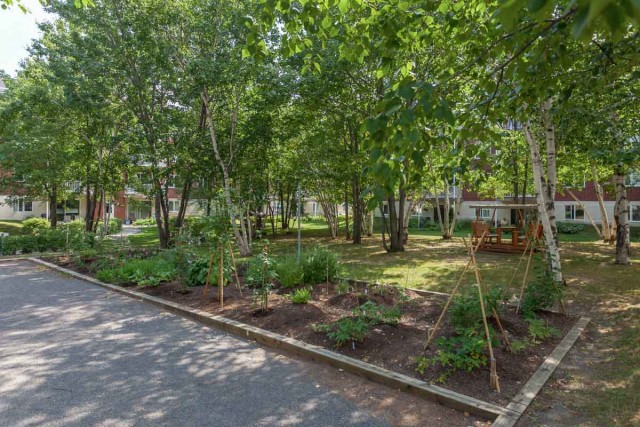 Appartement 2 1/2 Ville de Québec 1 125 $/mois. Appartement à louer Ville de Québec