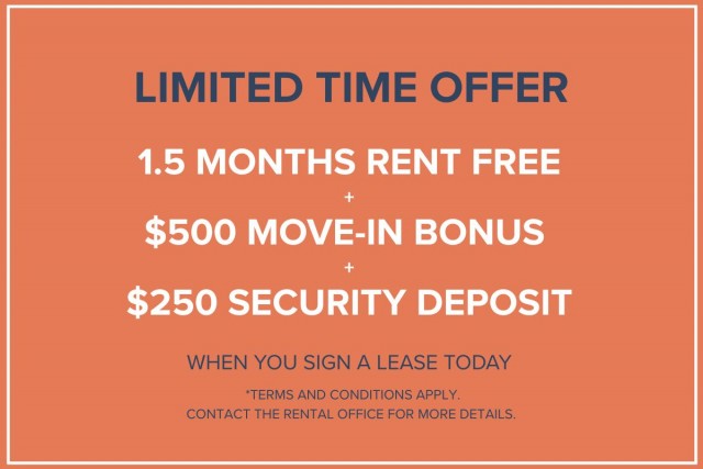 Edmonton Apartment 2 b. $1,550/month. Apartment for rent in Edmonton