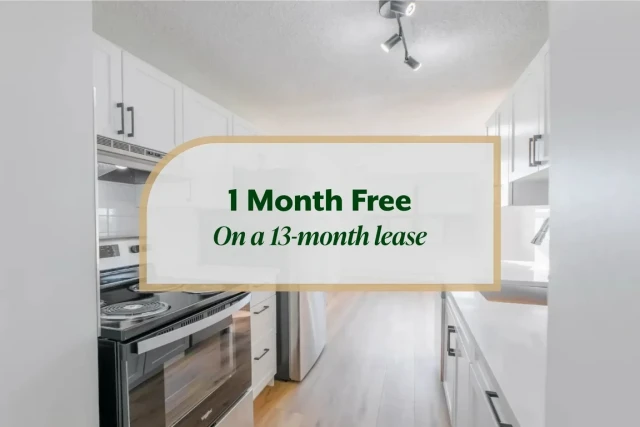 Calgary Apartment 1 b. $1,655/month. Apartment for rent in Calgary