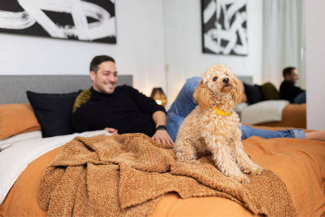 Greater Toronto Area Apartment 3 b. $4,500/month. Apartment for rent in Greater Toronto Area