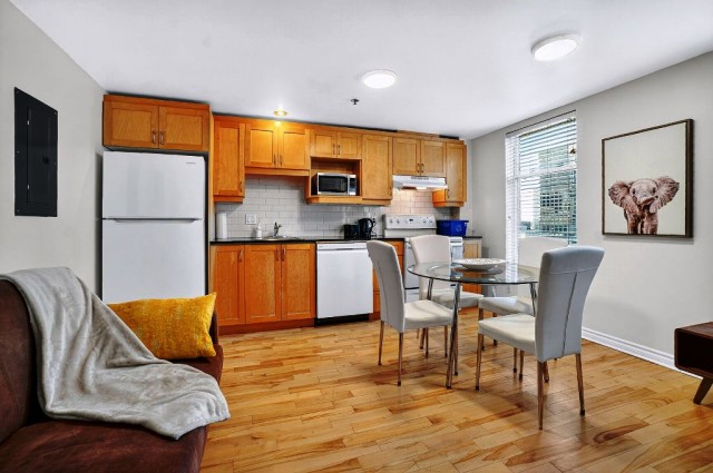 Downtown - Montreal  1 b. $78/day. Apartment for rent in Downtown - Montreal