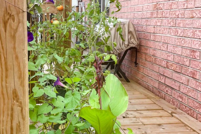  5 1/2 Quartier latin et centre-sud 100 $/jour. Appartement à louer Quartier latin et centre-sud