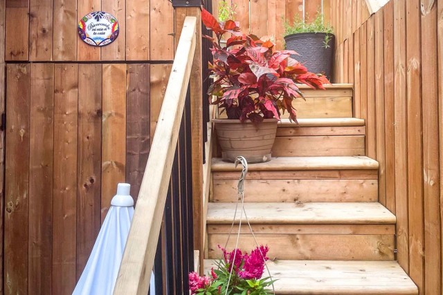  5 1/2 Quartier latin et centre-sud 100 $/jour. Appartement à louer Quartier latin et centre-sud