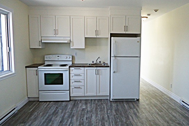 Longueuil Apartment 2 b. $1,395/month. Apartment for rent in Longueuil