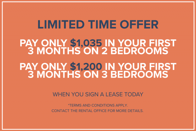 Notre-Dame-de-Grace Apartment Studio $895/month. Apartment for rent in Notre-Dame-de-Grace