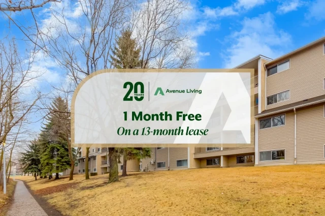 Appartement 2 1/2 Regina 949 $/mois. Appartement à louer Regina