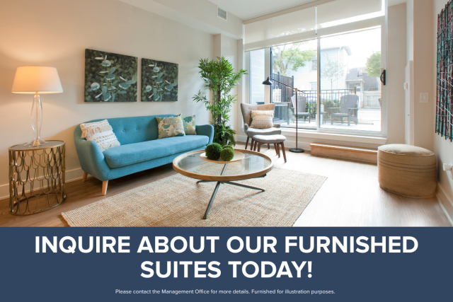 Appartement 4 1/2 Ottawa 2 855 $/mois. Appartement à louer Ottawa