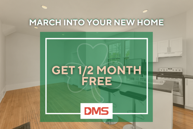 Appartement 2 1/2 Kingston 1 749 $/mois. Appartement à louer Kingston