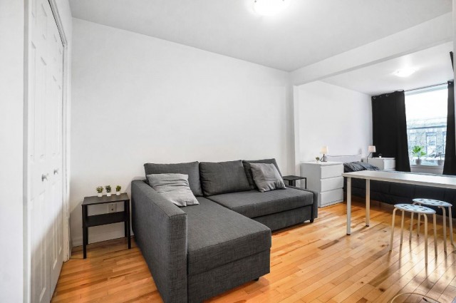 Hochelaga-Maisonneuve  1 b. $53/day. Apartment for rent in Hochelaga-Maisonneuve