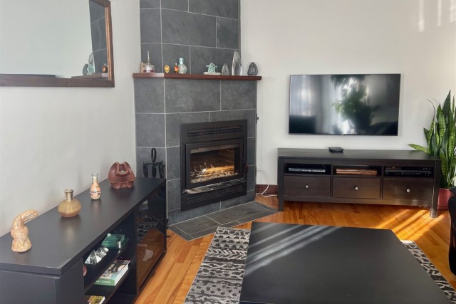 Mercier and Nouveau-Rosemont  2 b. $90/day. Apartment for rent in Mercier and Nouveau-Rosemont