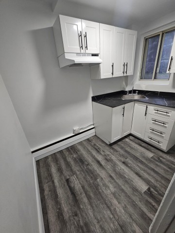 Appartement 3 1/2 Hochelaga-Maisonneuve 1 195 $/mois. Appartement à louer Hochelaga-Maisonneuve