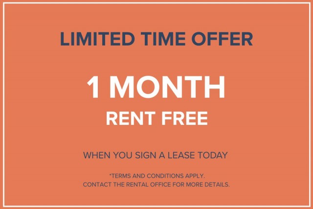 Appartement 1 1/2 Vancouver 1 900 $/mois. Appartement à louer Vancouver