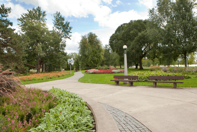 Appartement 4 1/2 Ottawa 2 450 $/mois. Appartement à louer Ottawa