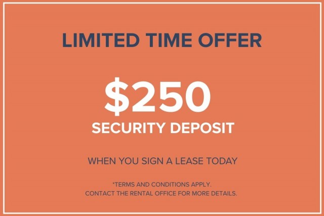 Calgary Apartment 1 b. $1,395/month. Apartment for rent in Calgary