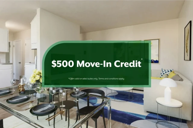 Appartement 2 1/2 Yorkton 1 030 $/mois. Appartement à louer Yorkton