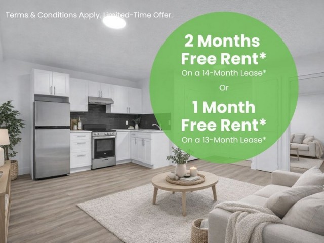 Appartement 1 1/2 London 1 350 $/mois. Appartement à louer London