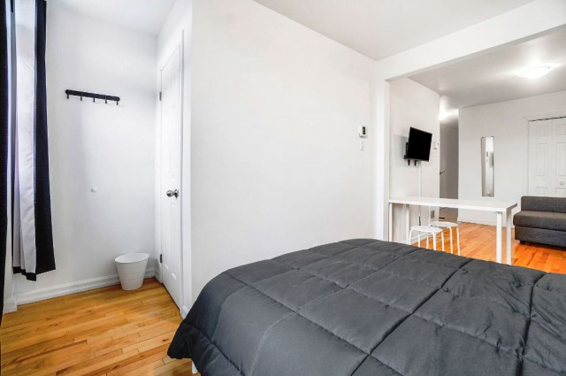 Hochelaga-Maisonneuve  1 b. $53/day. Apartment for rent in Hochelaga-Maisonneuve