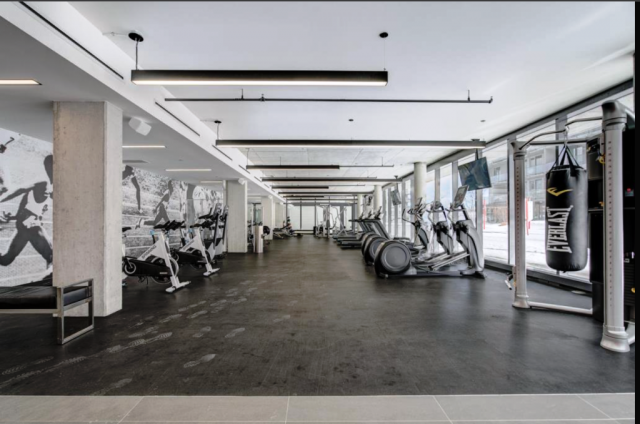 Ville-Saint-Laurent  1 b. $100/day. Apartment for rent in Ville-Saint-Laurent