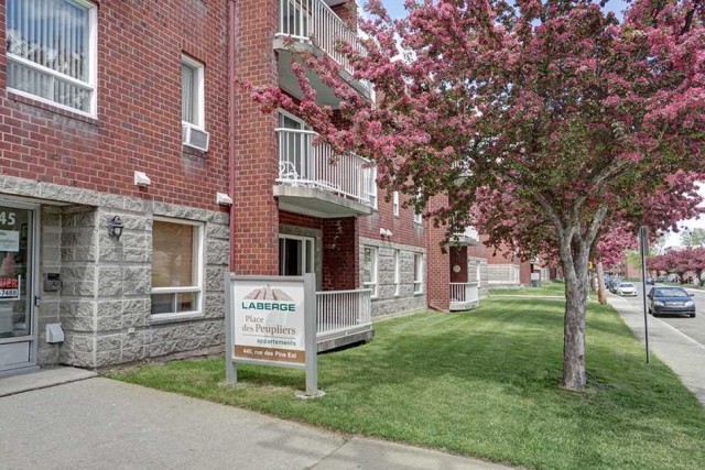 Appartement 1 1/2 Plateau Mont-Royal 645 $/mois. Appartement à louer Plateau Mont-Royal