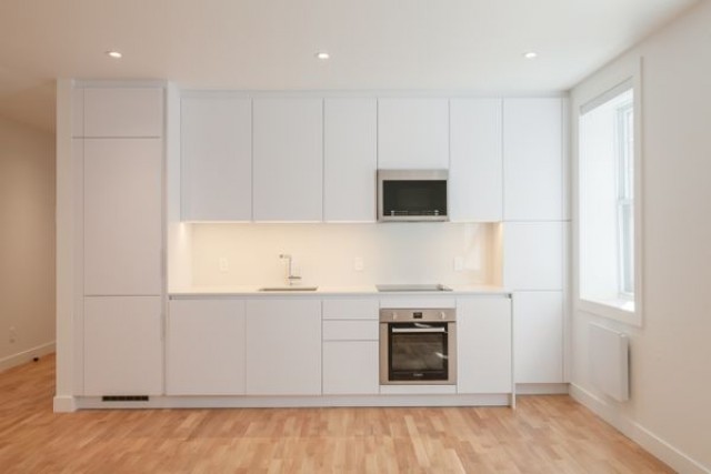 Downtown - Montreal Apartment 1 b. $1,695/month. Apartment for rent in Downtown - Montreal