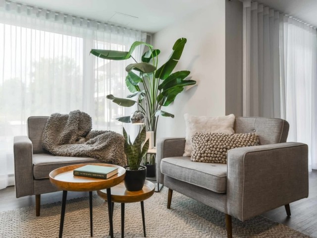 Longueuil Apartment 1-2 b. $1,625/month. Apartment for rent in Longueuil