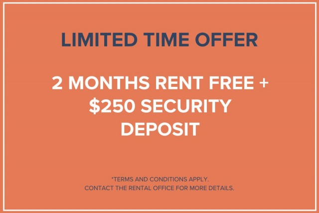 Calgary Apartment Studio $1,325/month. Apartment for rent in Calgary