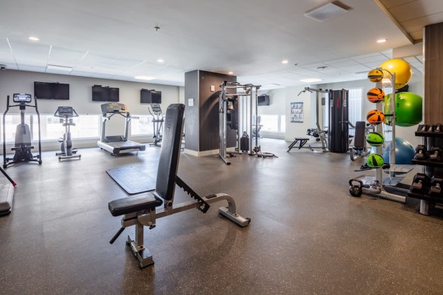 Appartement 4 1/2 Halifax 2 590 $/mois. Appartement à louer Halifax