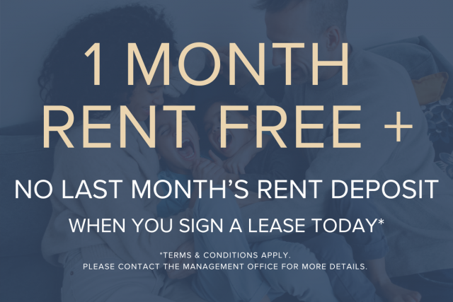 Greater Toronto Area Apartment 1 b. $1,970/month. Apartment for rent in Greater Toronto Area