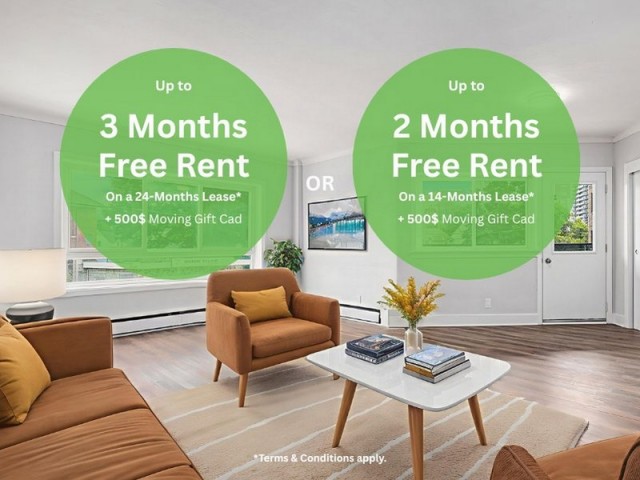 Appartement 1 1/2 Ottawa 1 371 $/mois. Appartement à louer Ottawa