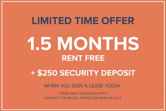 Calgary Apartment 1 b. $1,355/month. Apartment for rent in Calgary
