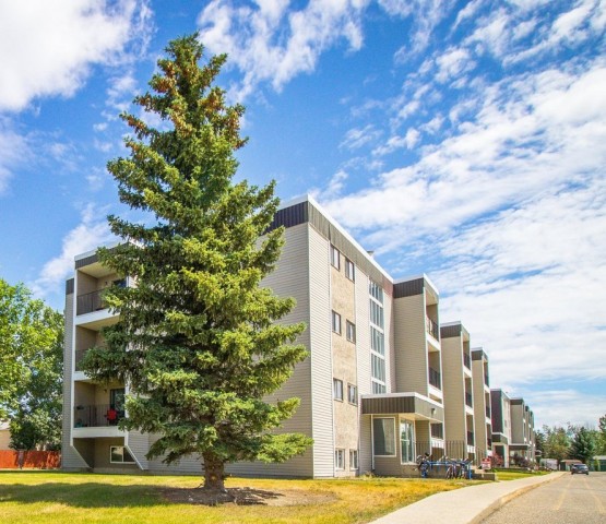 Appartement 2 1/2 Lethbridge 1 100 $/mois. Appartement à louer Lethbridge