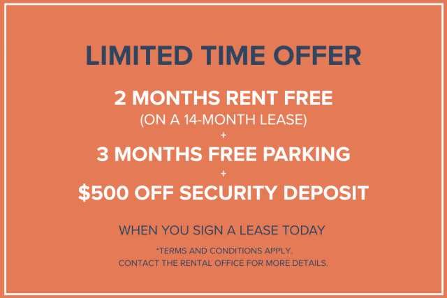 Appartement 2 1/2 Edmonton 1 440 $/mois. Appartement à louer Edmonton