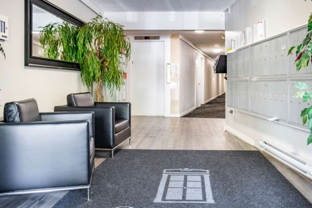 Appartement 2 1/2 Victoria 1 860 $/mois. Appartement à louer Victoria