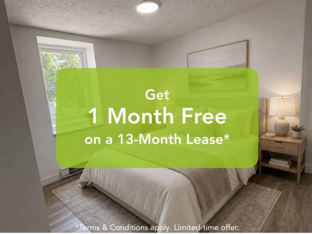Waterloo Apartment 2 b. $1,495/month. Apartment for rent in Waterloo