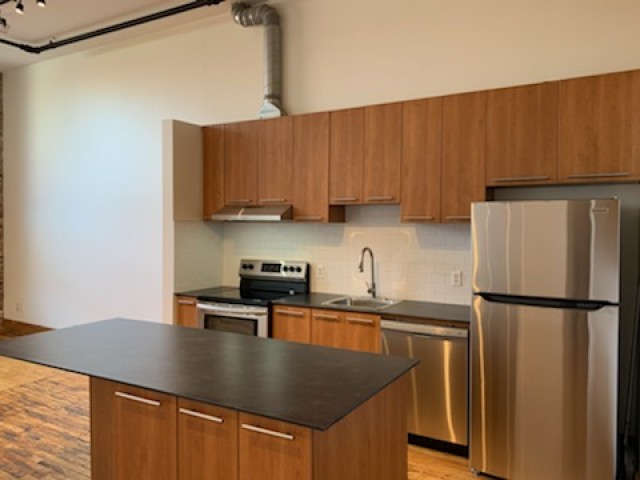 Hochelaga-Maisonneuve Apartment 1-2 b. $1,695/month. Apartment for rent in Hochelaga-Maisonneuve