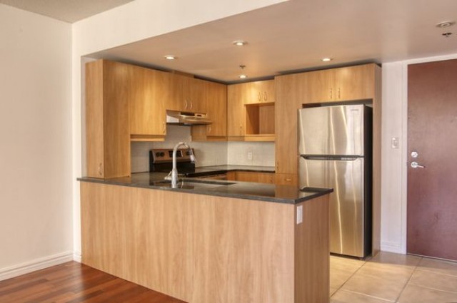 Appartement 2 1/2 Petite-Bourgogne et Griffintown 2 395 $/mois. Appartement à louer Petite-Bourgogne et Griffintown