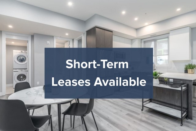 Appartement 2 1/2 Edmonton 1 495 $/mois. Appartement à louer Edmonton
