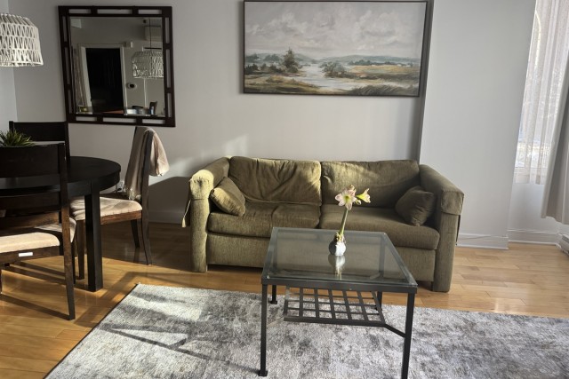 Downtown - Montreal  1 b. $70/day. Apartment for rent in Downtown - Montreal
