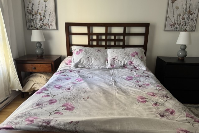 Downtown - Montreal  1 b. $70/day. Apartment for rent in Downtown - Montreal