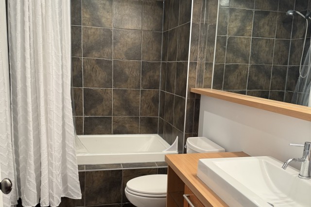 Downtown - Montreal  1 b. $70/day. Apartment for rent in Downtown - Montreal