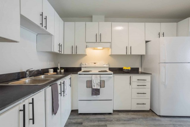 Appartement 4 1/2 Ville-Saint-Laurent 1 895 $/mois. Appartement à louer Ville-Saint-Laurent
