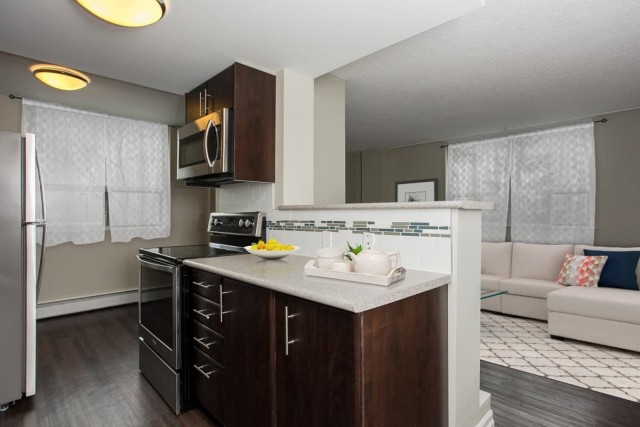 Appartement 1 1/2 Edmonton 1 070 $/mois. Appartement à louer Edmonton