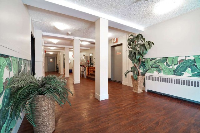 Appartement 2 1/2 Vancouver 1 695 $/mois. Appartement à louer Vancouver