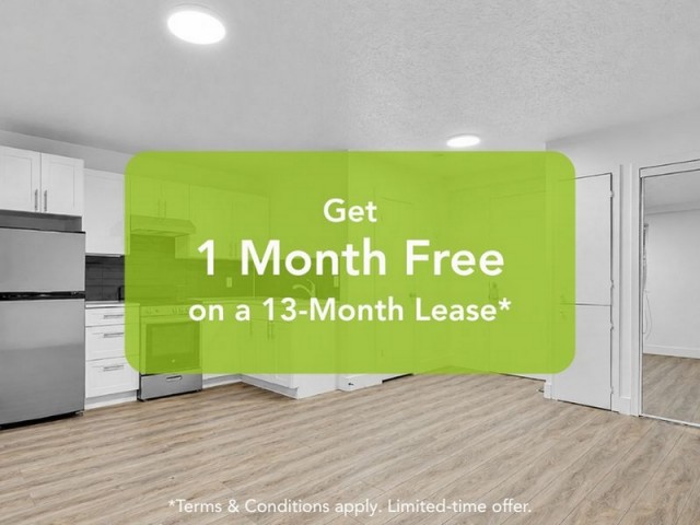 London Apartment Studio $1,245/month. Apartment for rent in London